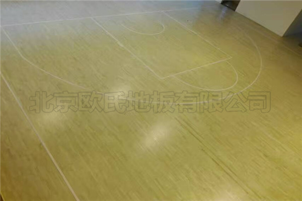 運(yùn)動(dòng)木地板 運(yùn)動(dòng)木地板